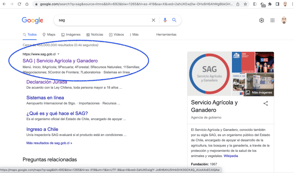 resultados de búsqueda de SAG en Google
